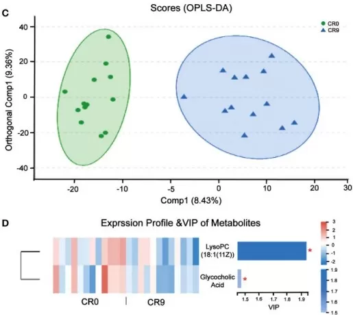 OPLS-DA of fecal metabolites before and after caloric restriction (C) and the significant changes of fecal metabolites before and after 9-day very-low-calorie restriction (D)